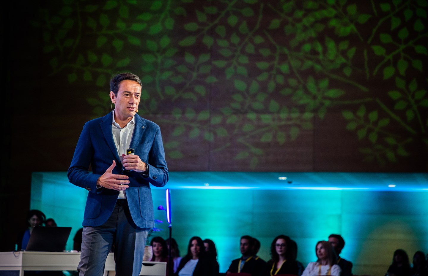 content image article