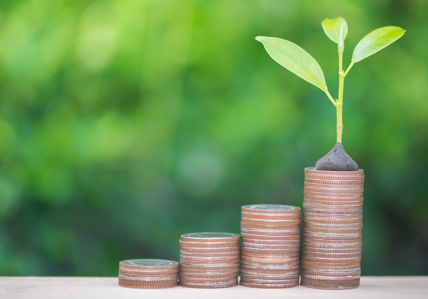 content image article