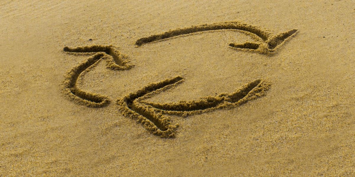 content image article